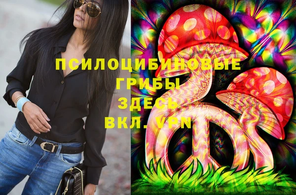 крисы Алексин