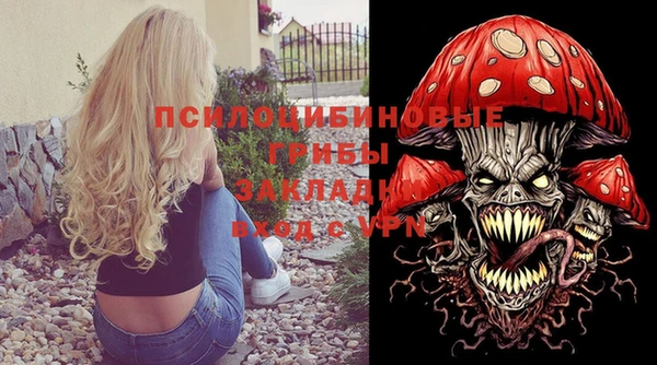 крисы Медногорск