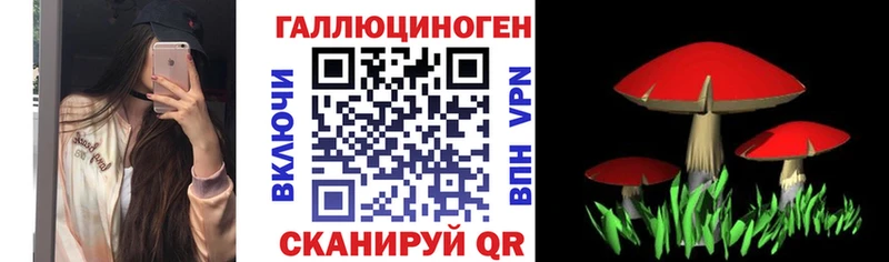 Галлюциногенные грибы MAGIC MUSHROOMS  Ессентуки 